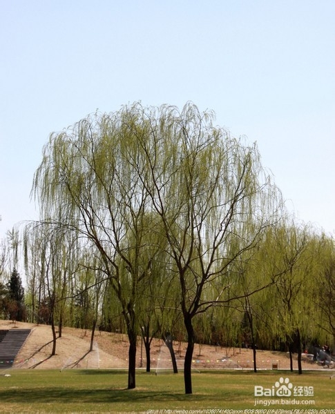 北京旅游攻略：[22]海淀公园