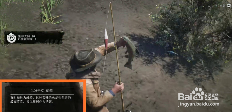 荒野大镖客2虹鳟用什么鱼饵？