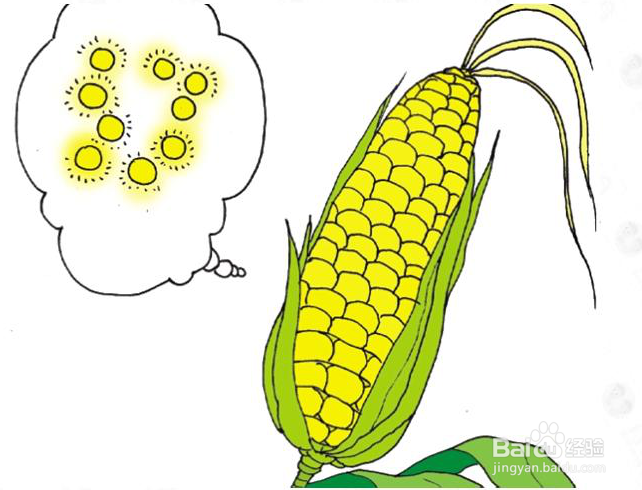 和孩子一起学作文——怎样写好“可吃的农作物”