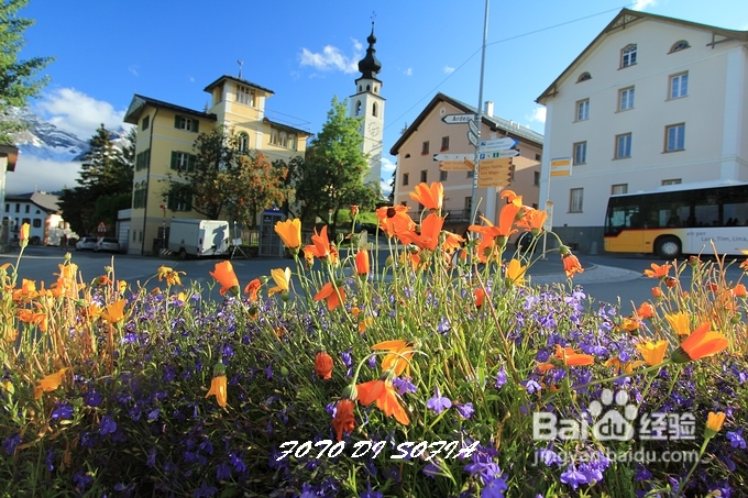 [转载]【瑞士】 因河花园， 山村象花开放