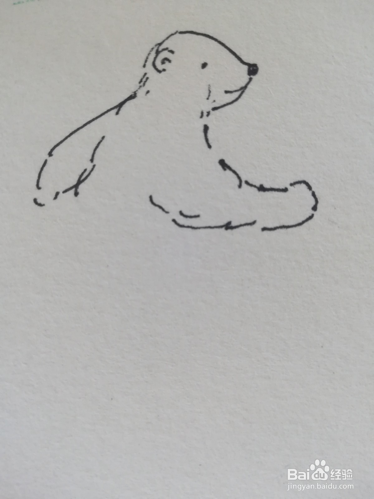 怎么画奔跑的北极熊