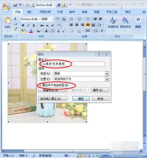 怎样给word中的图片添加注释