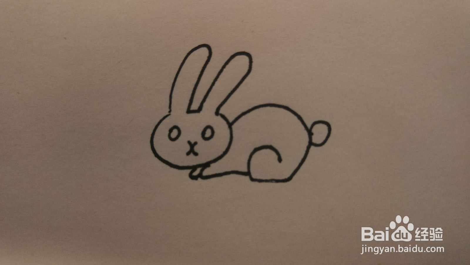 #经验分享官#小兔子简笔画