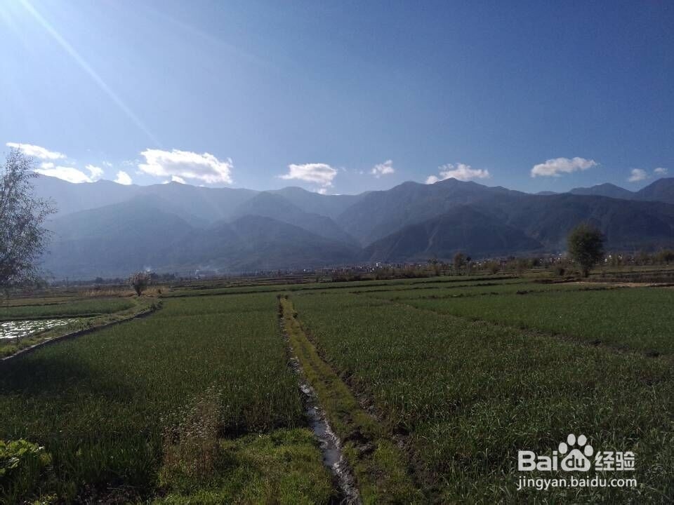 云南大理双廊丽江等古镇旅行攻略