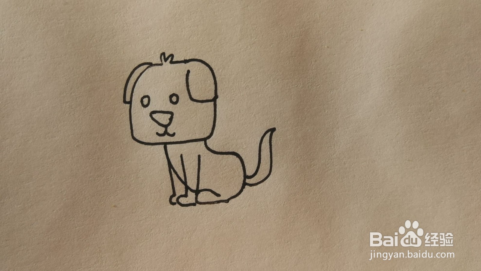 #经验分享官#小狗简笔画