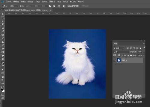 PS怎样用选择并遮住抠图