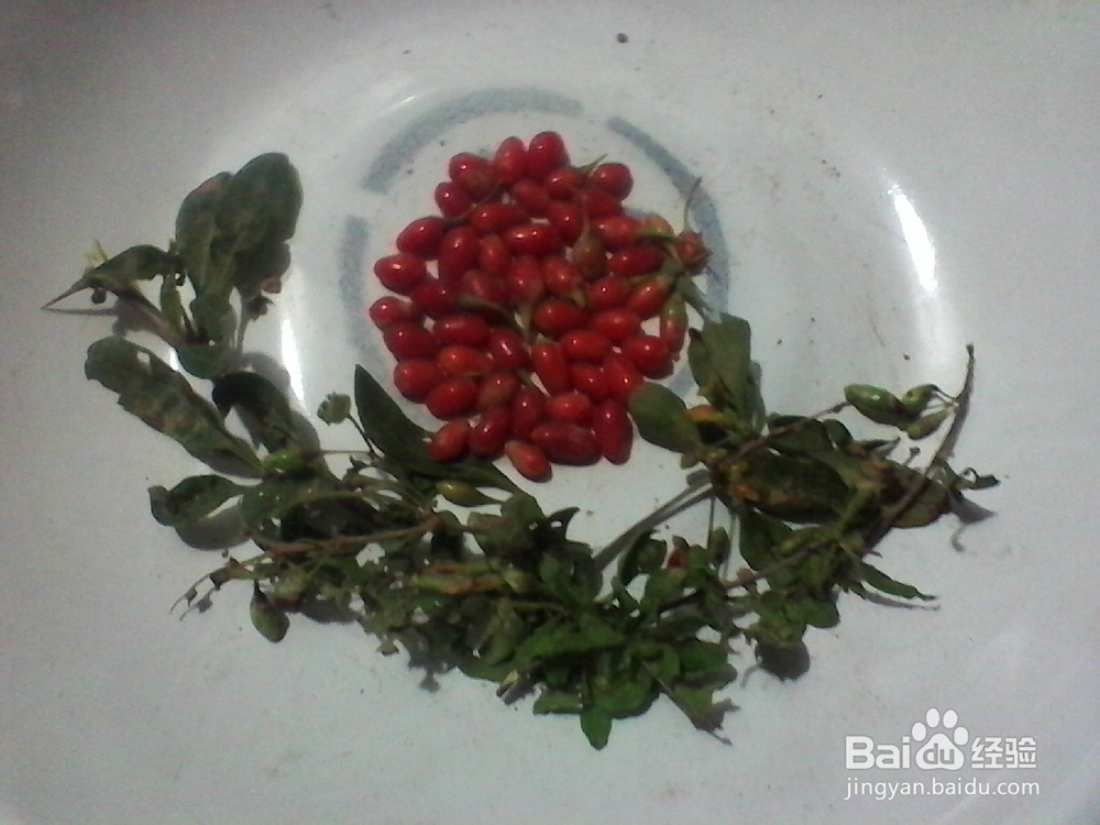 折纸剪贴画：[7]花花世界