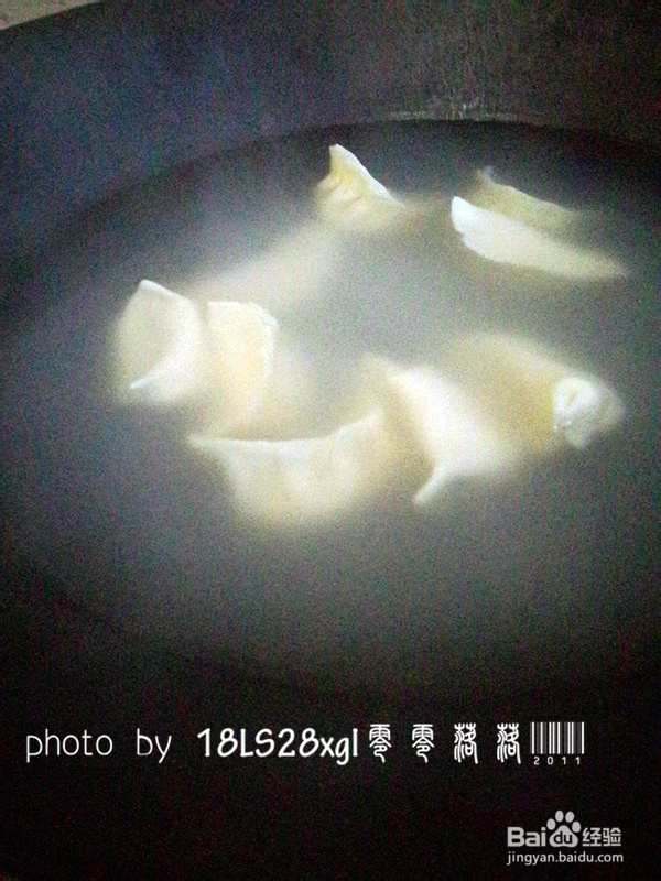 补肝明目：胡萝卜水饺