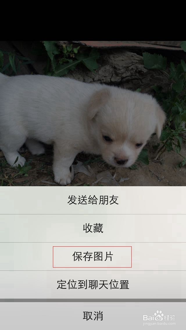 怎样将微信当中的图片转发给QQ好友