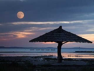 苹果xr拍照技巧