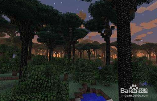 我的世界利用森林资源