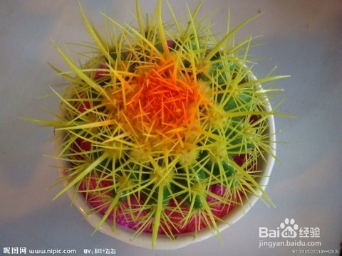 怎样养护盆栽仙人球