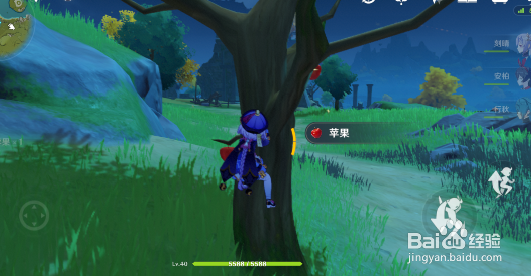 原神苹果在哪里采集
