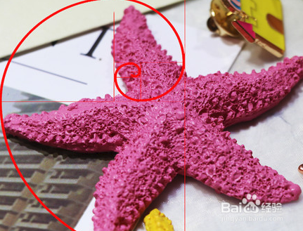 手机拍照有哪些常用的构图方式？