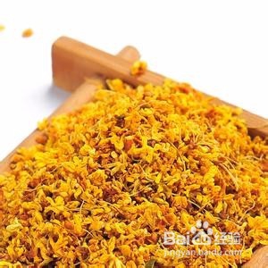 桂花茶怎么泡
