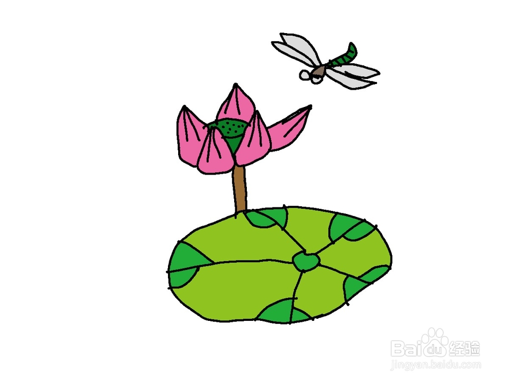 美术 简笔画荷花