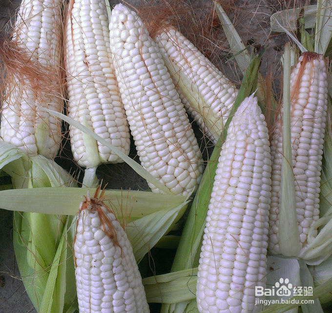 家常青椒玉米的做法