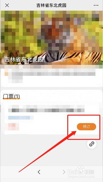 长春东北虎园门票攻略