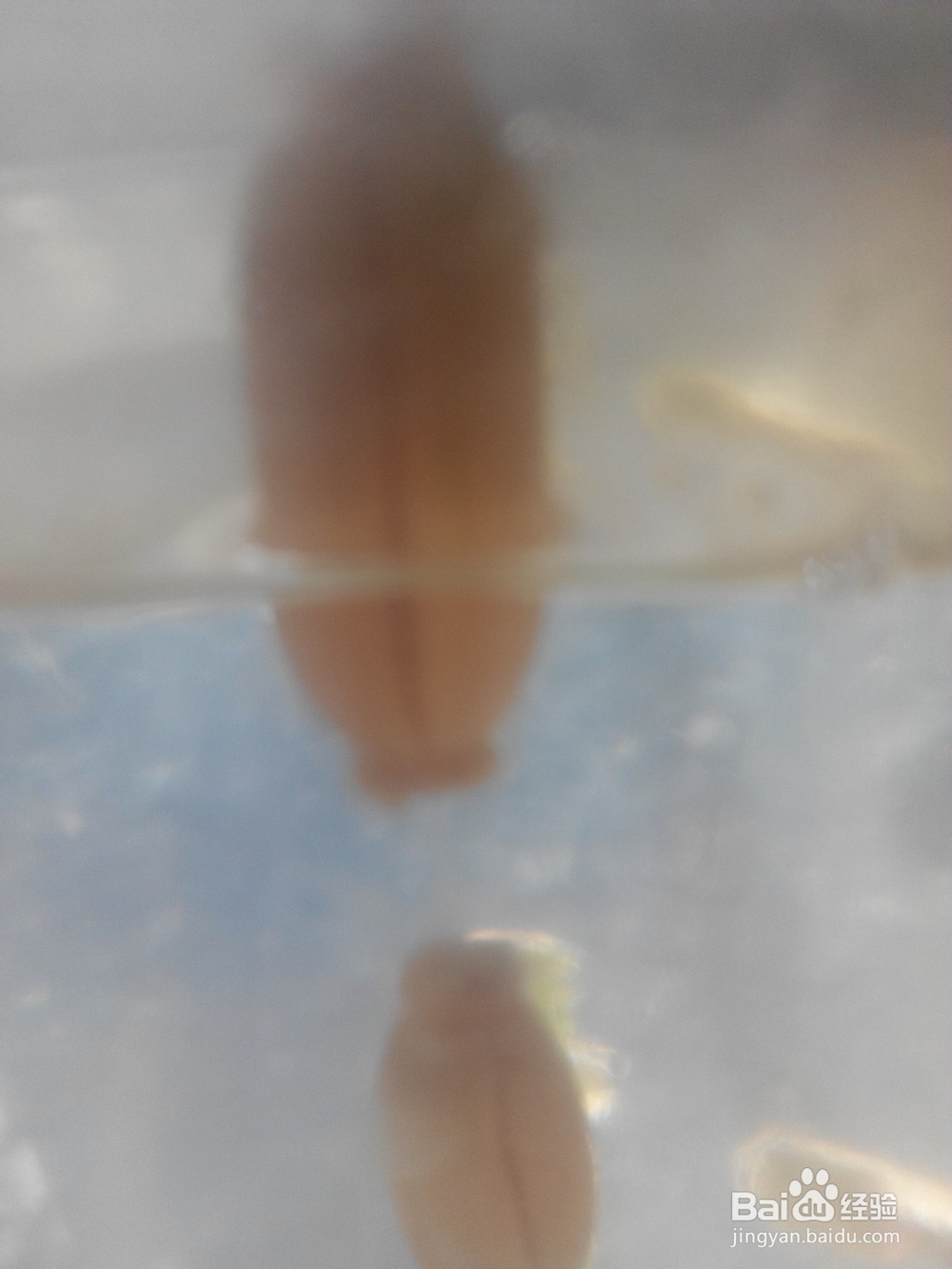 怎么在星漂安装夜光棒（二）塑料管套主线法