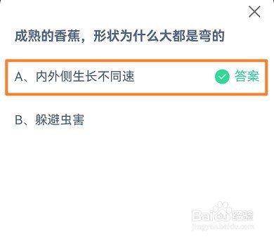 蚂蚁庄园成熟的香蕉，形状为什么大都是弯的