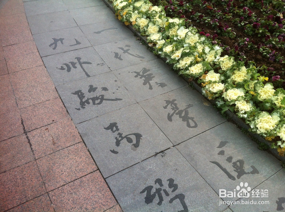 拍客是怎样练成的之街边文化系列(一)