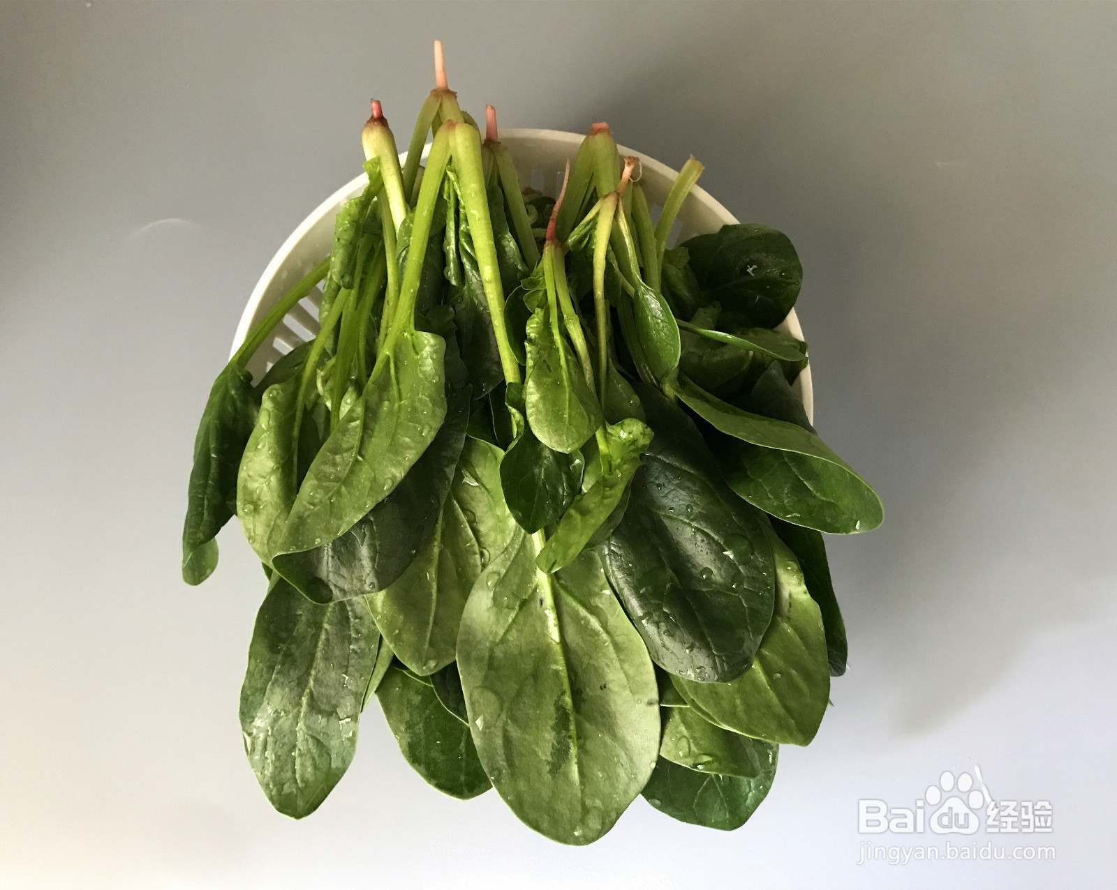 凉拌菠菜的做法