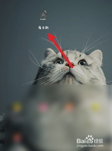 爱立斯怎么更换头像