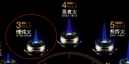 木瓜炖燕窝的做法