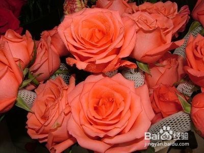 送女朋友礼物要了解，千万别送错咯！