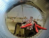 重庆烤鱼的做法