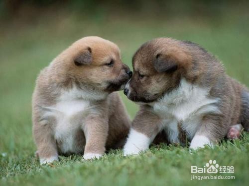 为什么你和你的会朋友渐行渐远