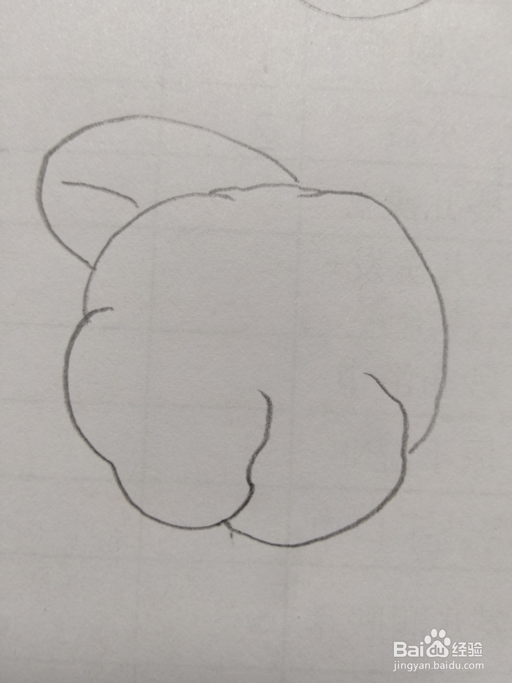 简笔画菜花画法2