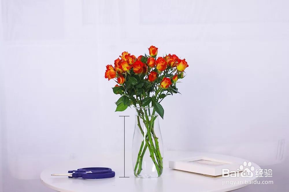 花小好鲜花多头玫瑰养护
