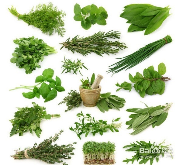 中药治疗前列腺炎好吗