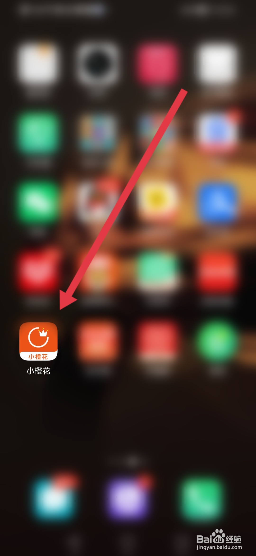 小橙花怎么查看用户服务协议