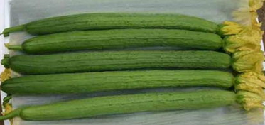 偏方治慢性咽炎