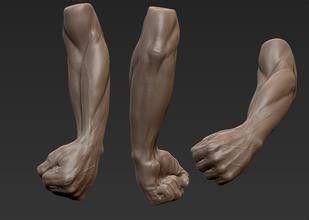 怎样练手臂肌肉