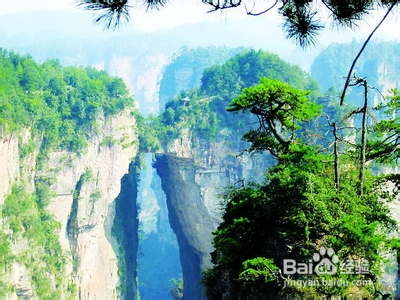 张家界自由行导游