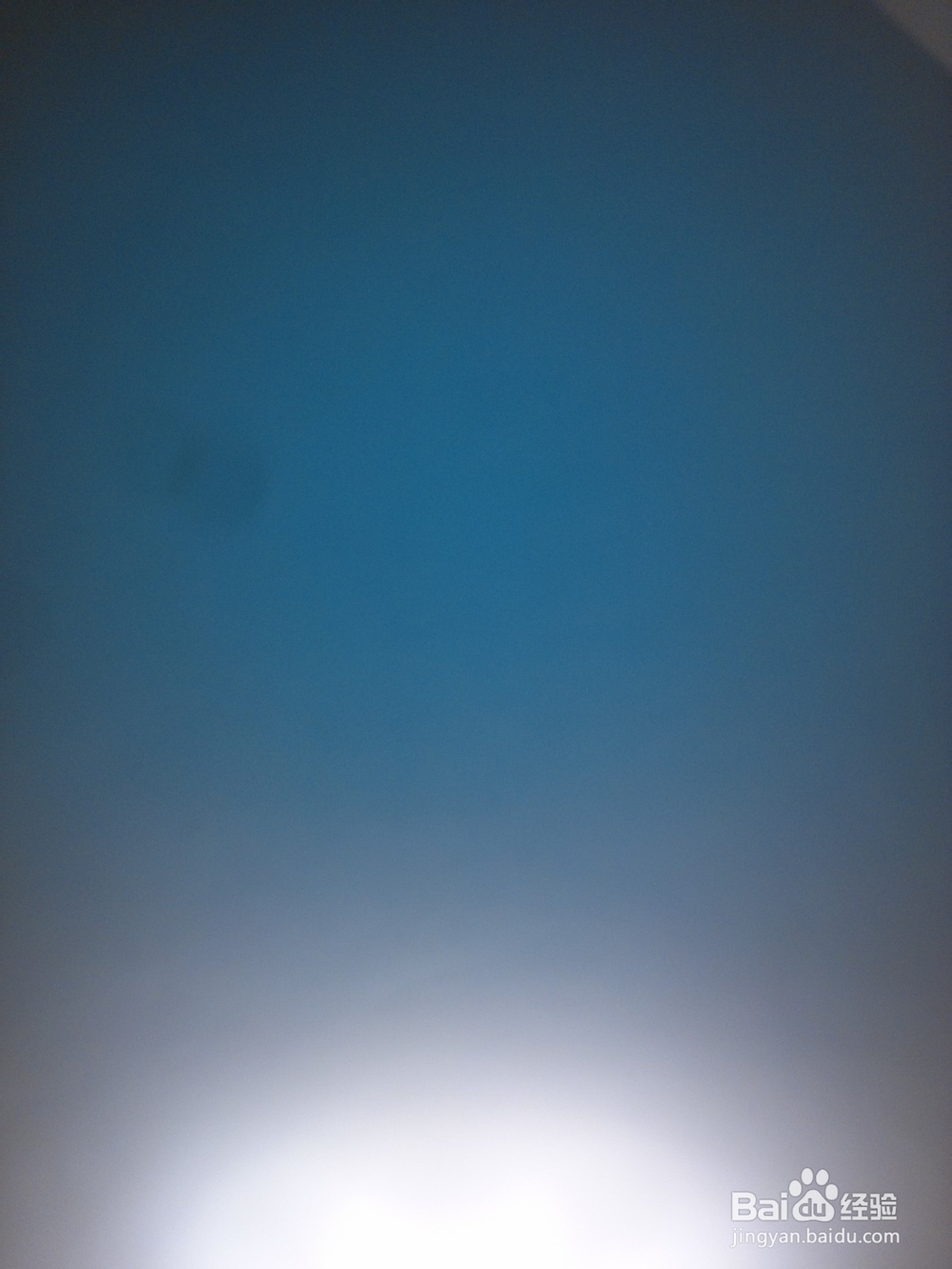 饮食文化素菜的做法