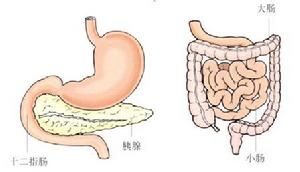 习惯性的便秘该如何治疗