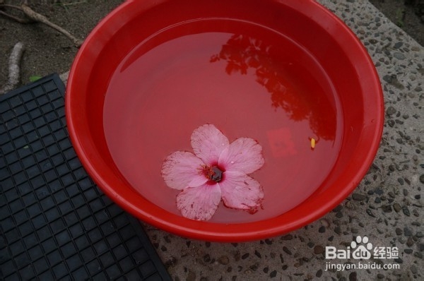 如何缓解空调房里的干燥症