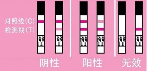 豪氏排卵试纸的使用方法