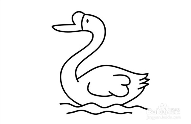 大白鹅简笔画 分步画法