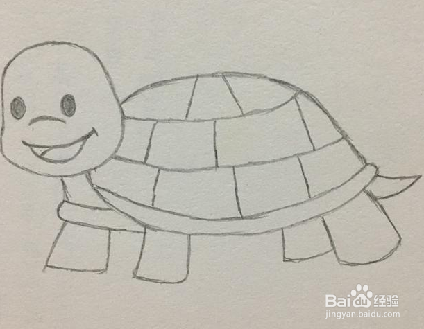 乌龟的简笔画是怎么画的