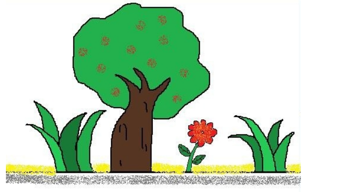 怎么画树