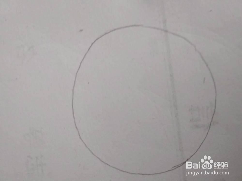 多妈简笔画动物一只胖嘟嘟的小猪