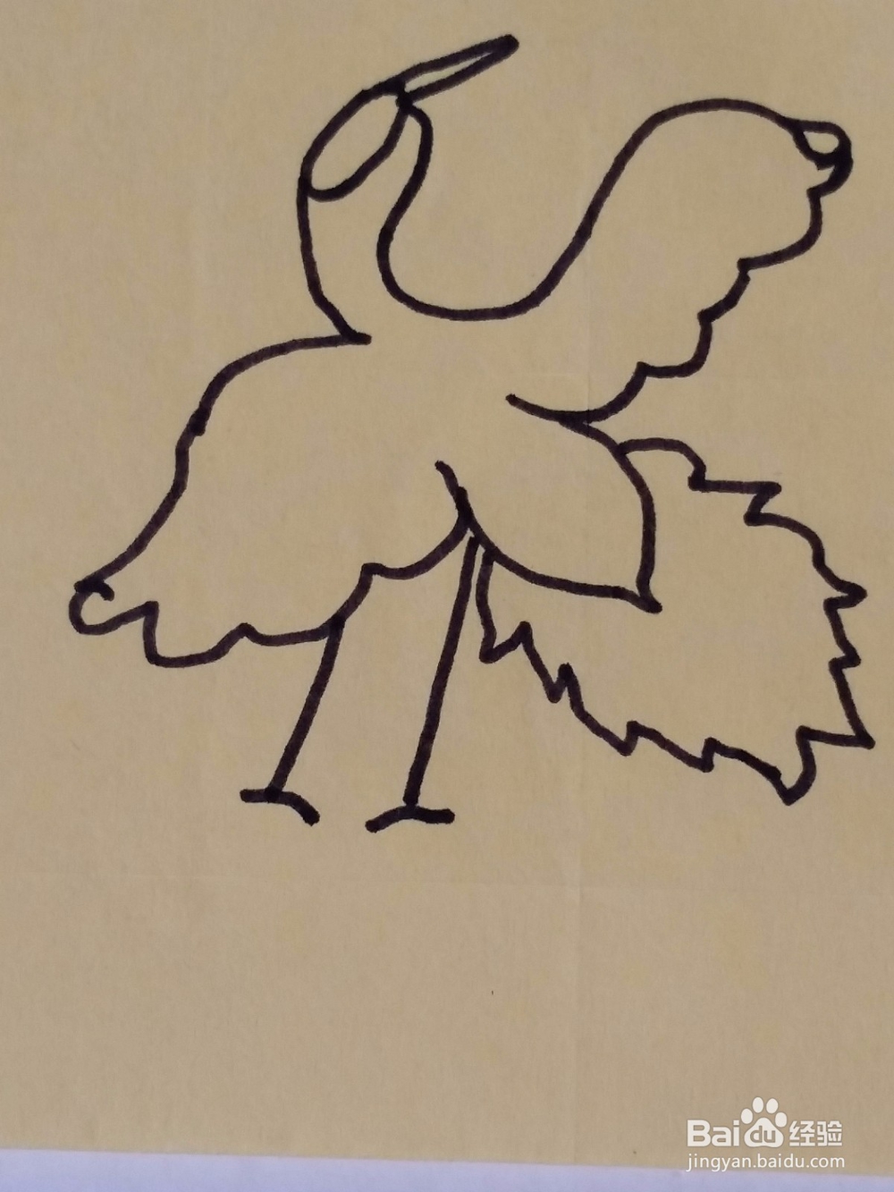 幼儿仙鹤手绘画法