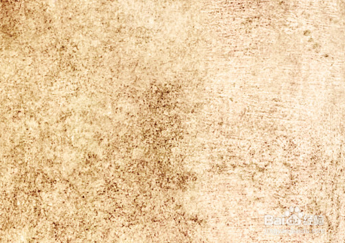 养宠物注意哪些事项呢?