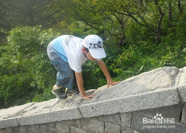 行万里路-带孩子旅游去：[1]泰山二日游