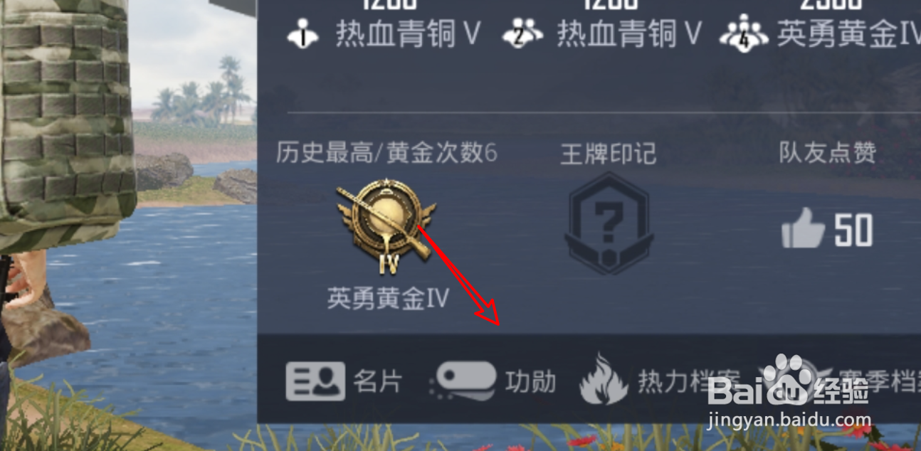 和平精英怎么查看自己获得了什么功勋